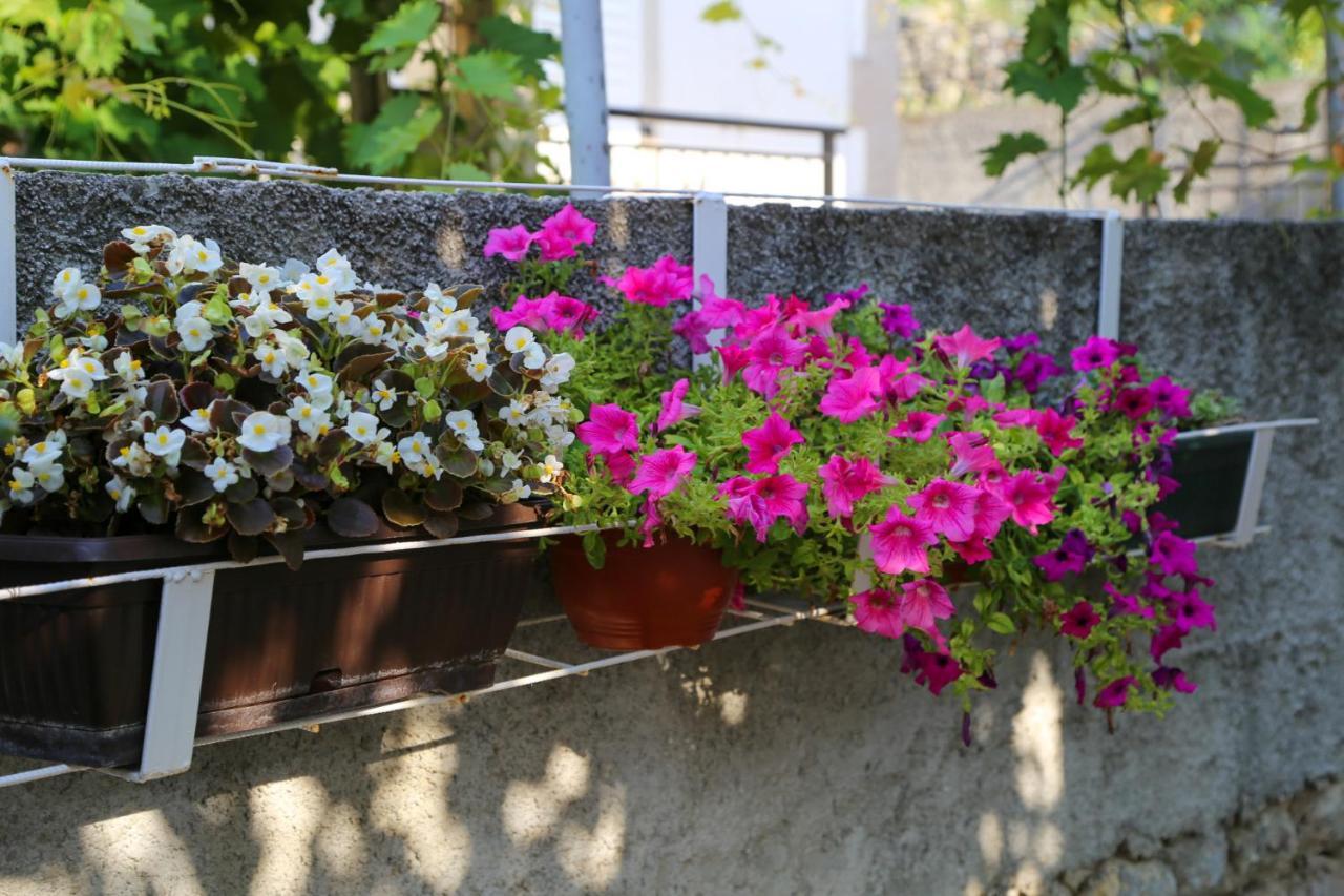 Smjestaj Djurdjevic Apartment Herceg Novi Exterior photo